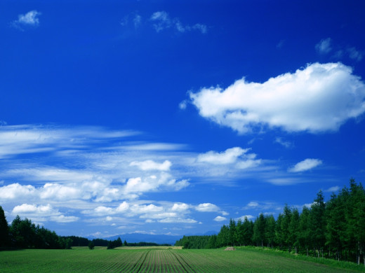 24745 (a): :1024x768